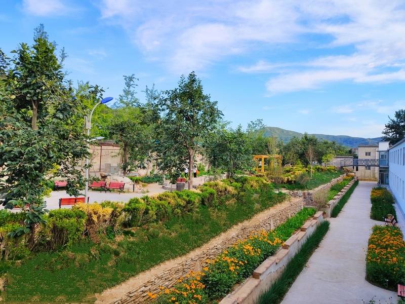 名单｜望京街道寸草春晖养老照料中心｜社交活动丰富收费透明PG电子麻将胡了试玩2026最新｜透析护理高口碑养老院(图28)