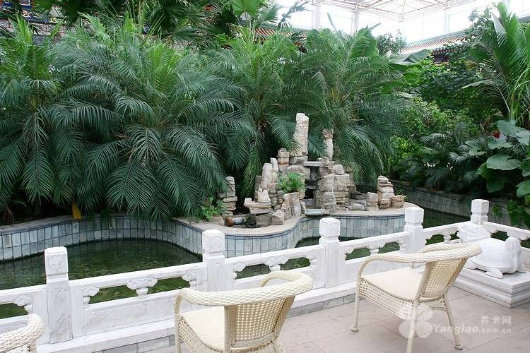 名单｜望京街道寸草春晖养老照料中心｜社交活动丰富收费透明PG电子麻将胡了试玩2026最新｜透析护理高口碑养老院(图37)