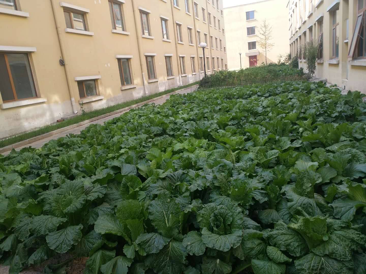 朝阳区望京街道寸草春晖养老照料中心｜高性价比+收费一览表PG电子游戏麻将胡了2026最新高性价比养老院收费标准(图6)